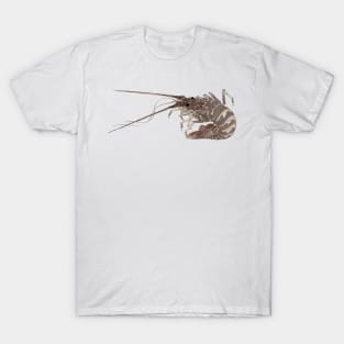 The Lobster, History art, Asian Art T-Shirt